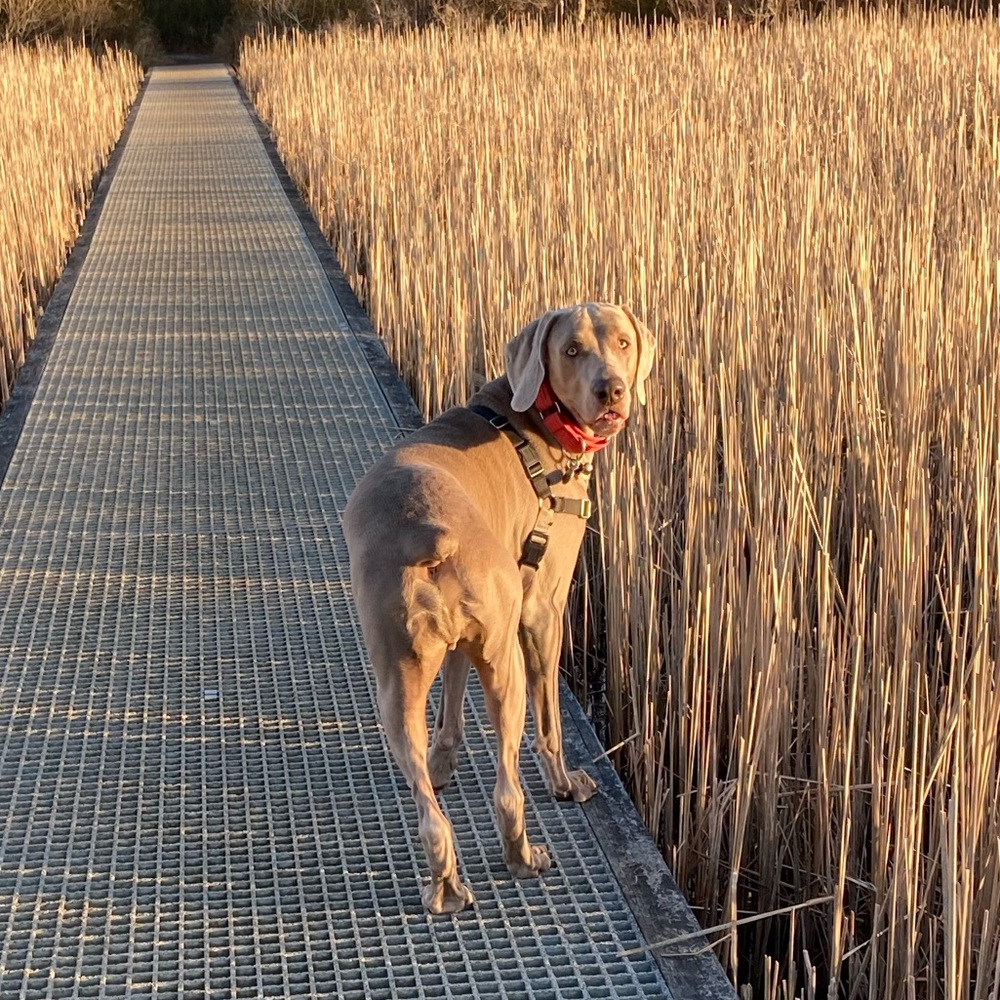 Meet your Posher, Kathryn